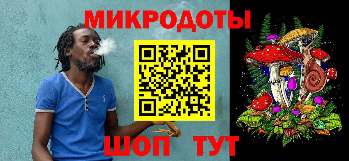 Галлюциногенные грибы Psilocybine cubensis Ишим