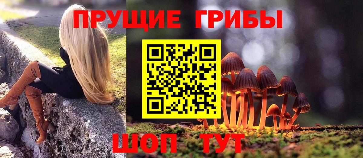 Ишим  Галлюциногенные грибы GOLDEN TEACHER  Вход с VPN 